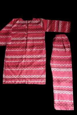 2 Pcs Women's Stitched Cotton Printed Suit