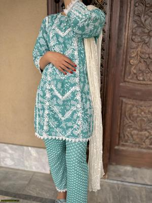 2 Pcs Women's Stitched Cotton Karandi Embroidered Suit