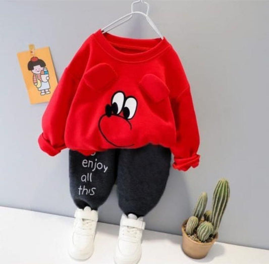 2 Pcs Boy's Cotton Printed Tracksuit