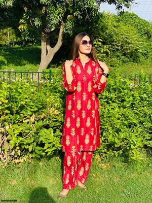 2 Pcs Women's Stitched Linen Printed Suit