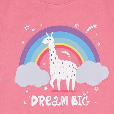 Rainbow Dream Big Rose Pink Terry Sweatshirt