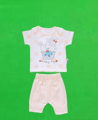 Baby Girl's Cotton Shirt And Trouser Set