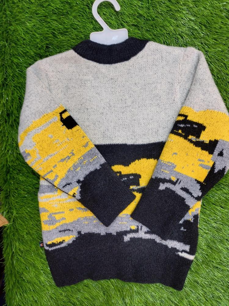 1 Pc Boy's Stitched Wool Printed Sweater