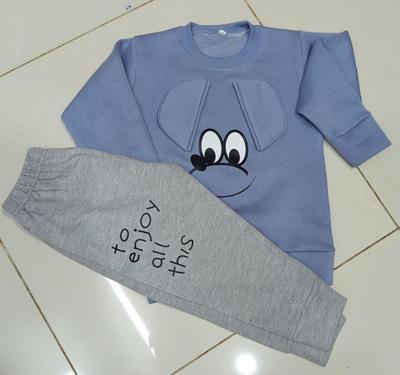 2 Pcs Boy's Fleece Printed Tracksuit