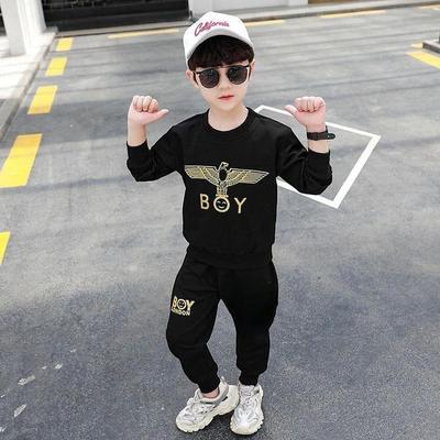 2 Pcs Boy's Cotton Printed Tracksuit