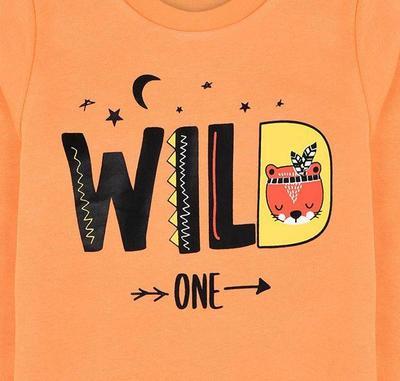 Wild One Dull Orange Terry Sweatshirt