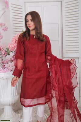 2 Pcs Women's Stitched Plain Organza Suit