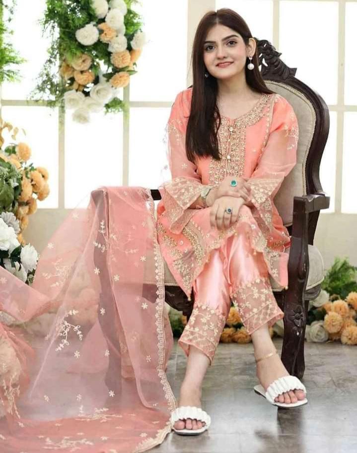 3 Pcs Women's Stitched Organza Embroidered Suit