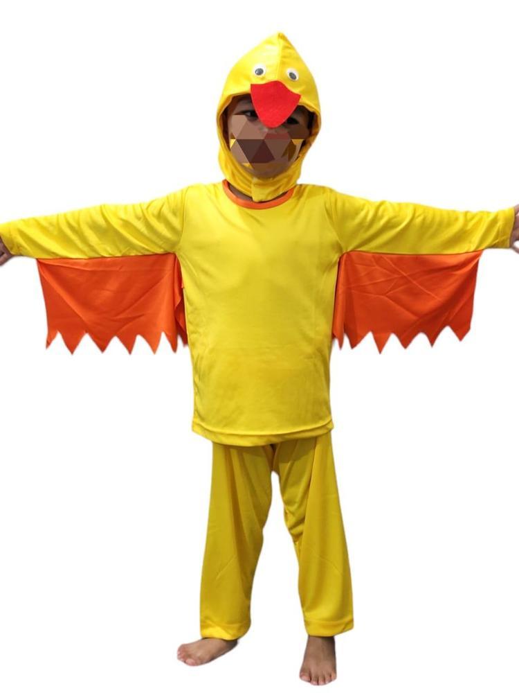 3 Pcs Kids Stitched Dry Fit Micro Duck Costume