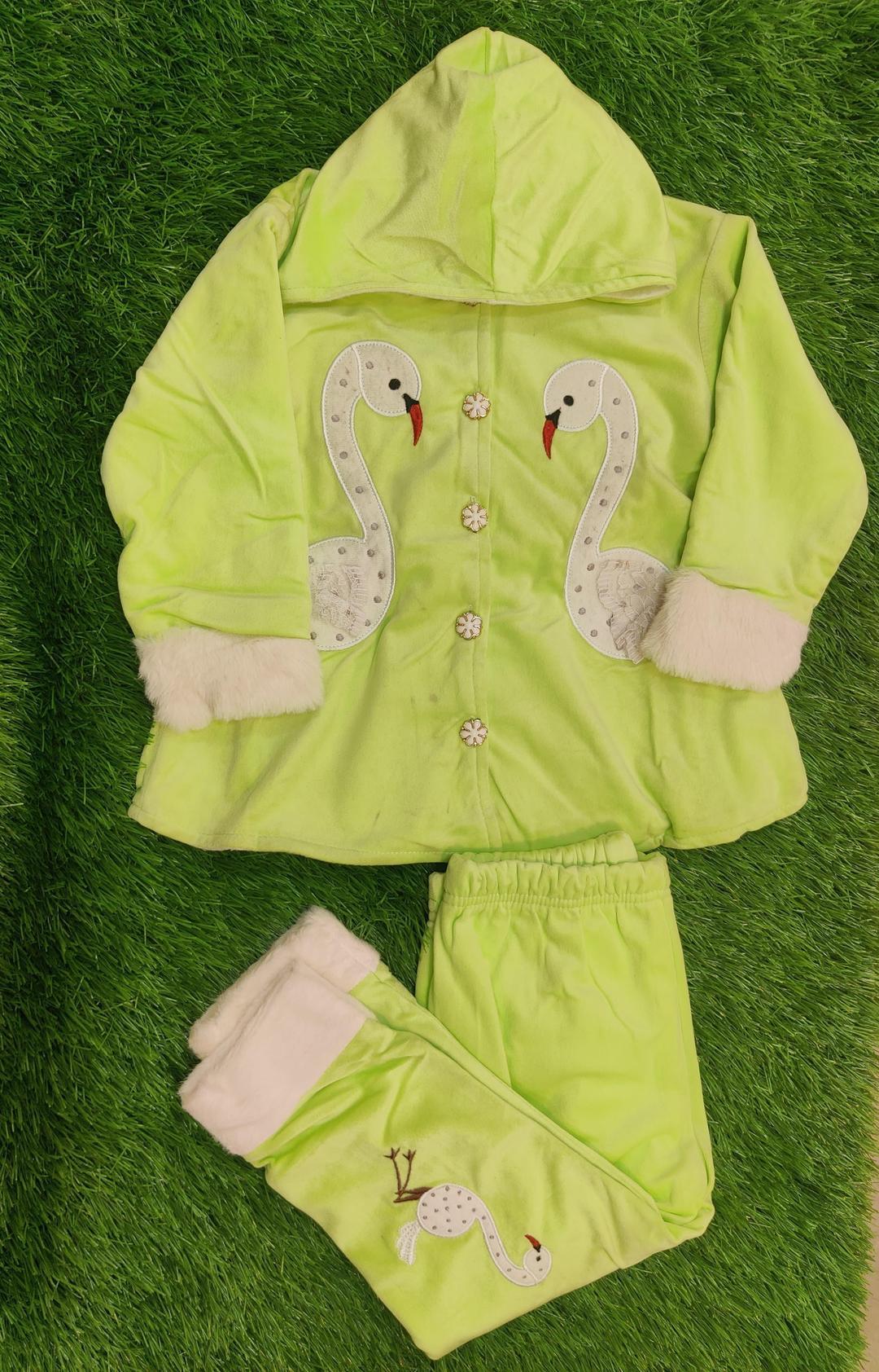 2 Pcs Girl's Velvet Printed Shirt And Trouser Suit