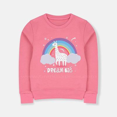 Rainbow Dream Big Rose Pink Terry Sweatshirt