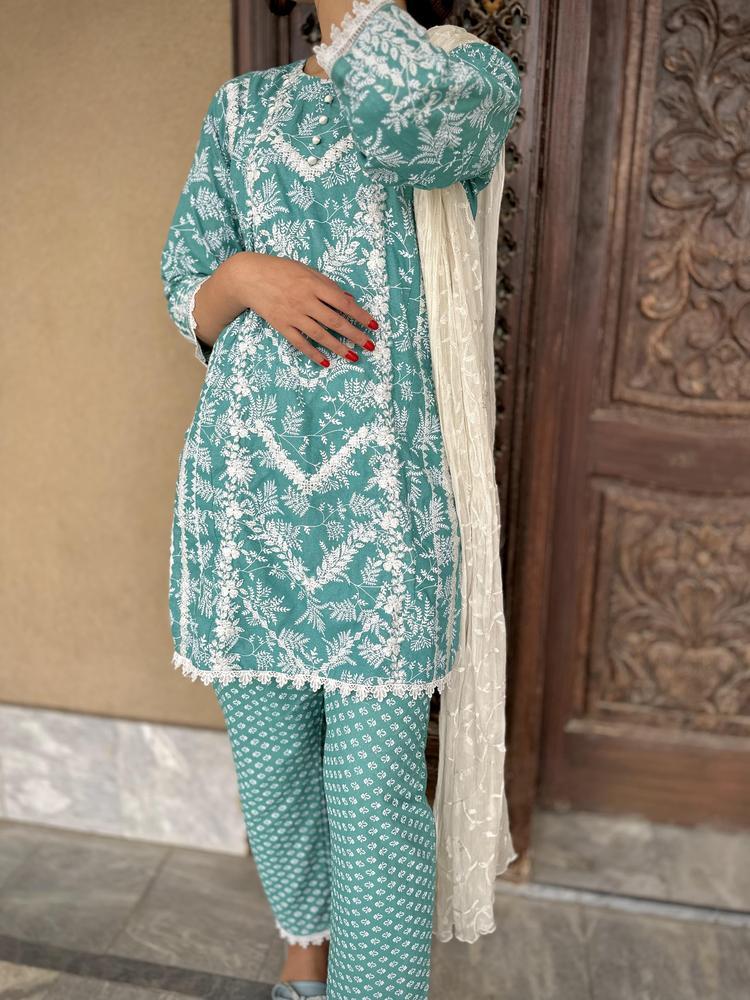 2 Pcs Women's Stitched Cotton Karandi Embroidered Suit