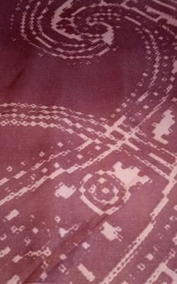 Women's Pashmina Printed Shawl