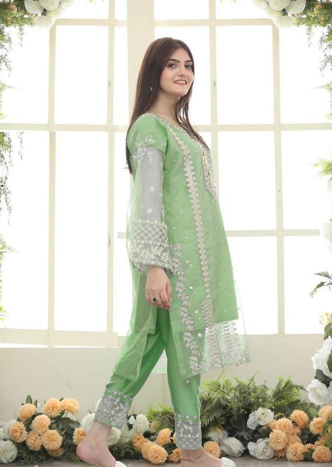 3 Pcs Women's Stitched Organza Embroidered Suit