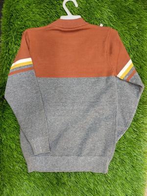 1 Pc Boy's Stitched Wool Printed Sweater