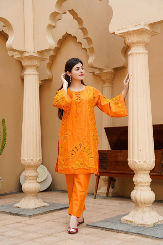 2 Pcs Women's Stitched Cotton Embroidered Suit